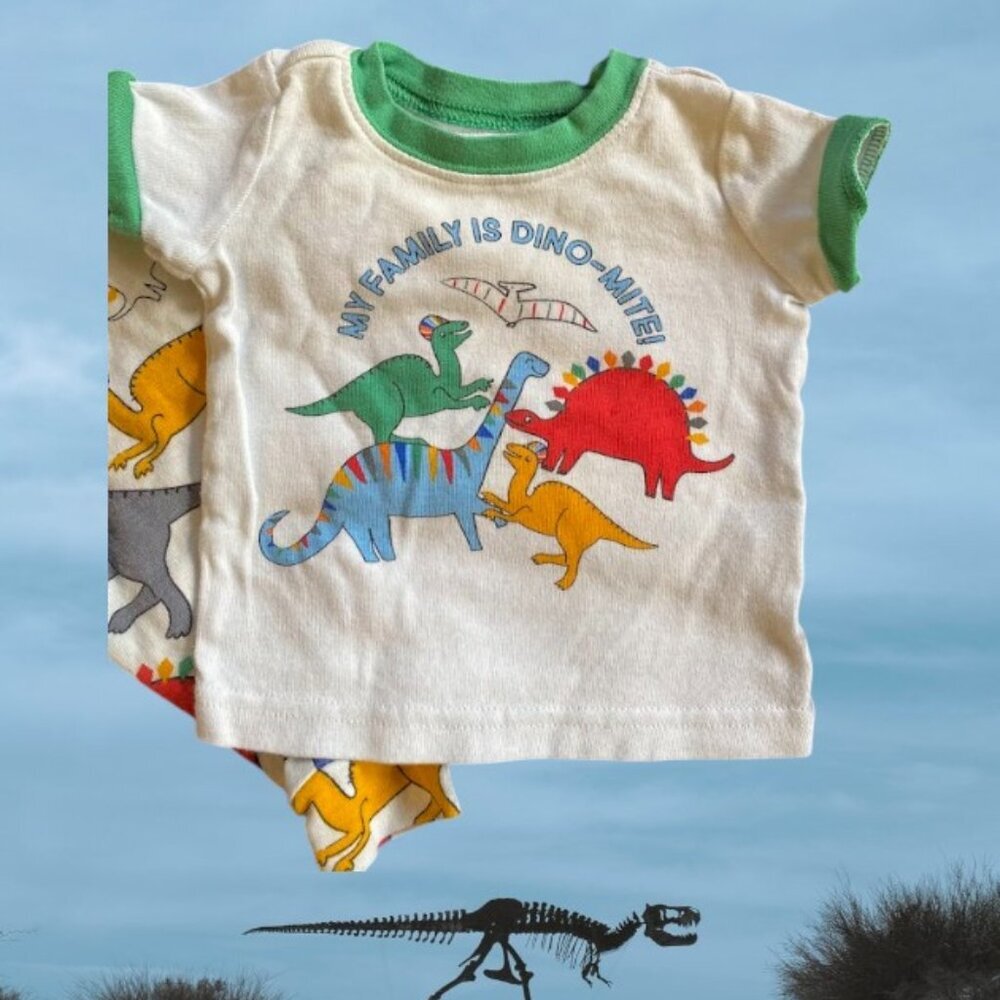 2pc The Children's Place Dinosaur Cotton Pant Set - Picture 4 of 5